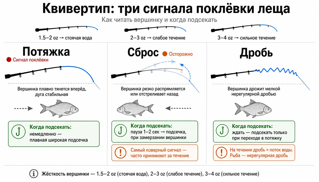 Сигналы квивертипа: потяжка, сброс, дробь Схема трёх сигналов поклёвки леща на квивертип фидера: потяжка, сброс и дробь с указанием когда и как подсекать